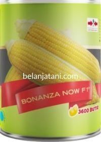 Agen Bonanza Bagus: Jaminan Kualitas Terbaik
